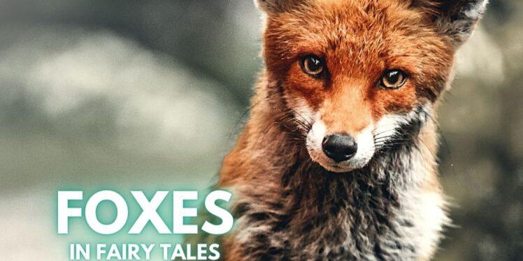 Foxes in Fairy Tales
